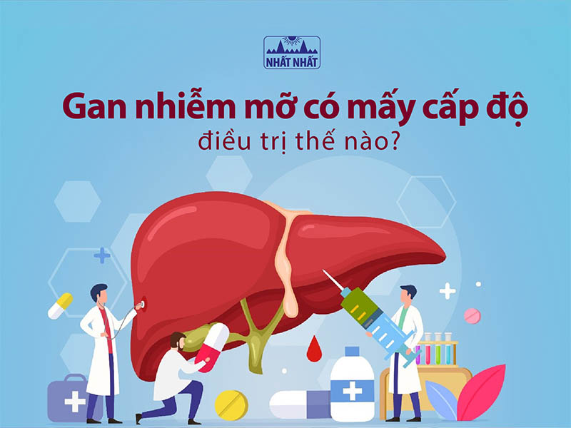 Phục hồi và kiểm soát gan nhiễm mỡ cấp độ 2 - Bí quyết để có một lối sống khỏe mạnh